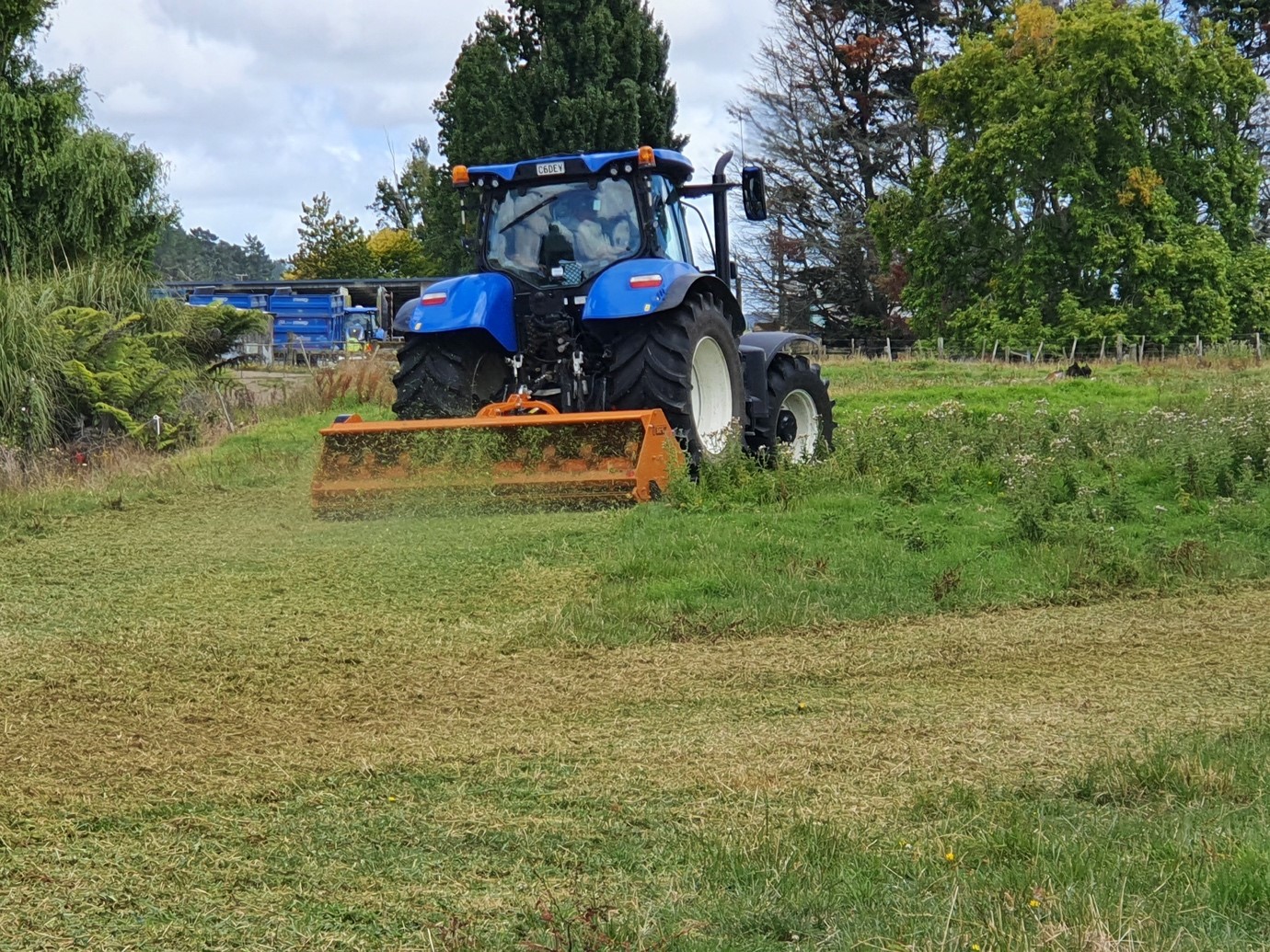 You are currently viewing Pasture Management: Mulcher Vs. Slasher