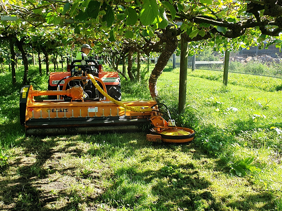 Read more about the article How to Buy Right Mower