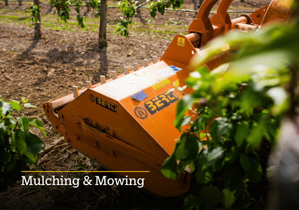 Mulching & Mowing Vineyard orchard mower